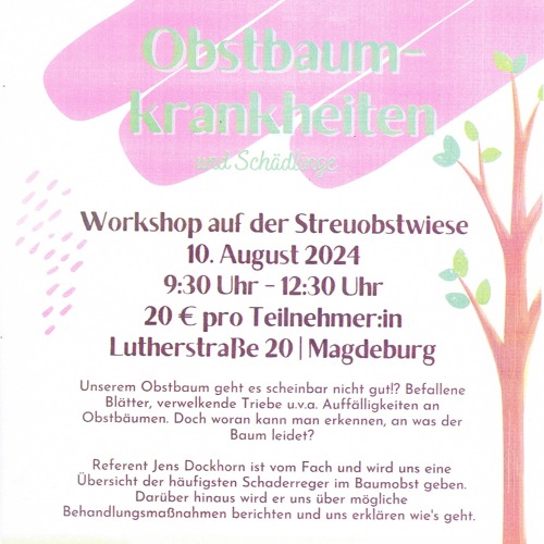 Obstbaum-Krankheiten und Sch&auml;dlinge -Workshop auf der Streuobstwiese